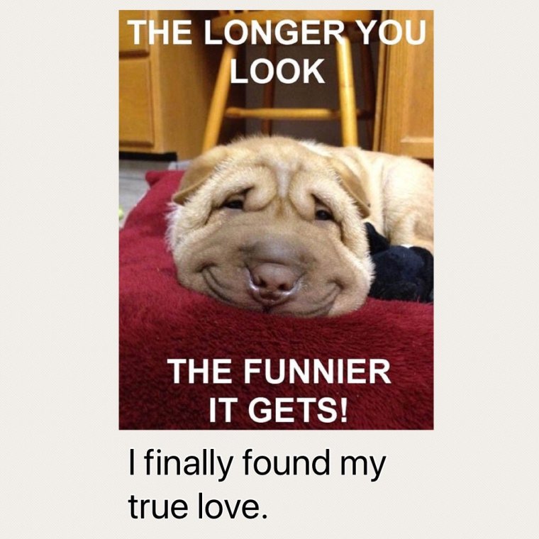 Пятничные приколы в картинках