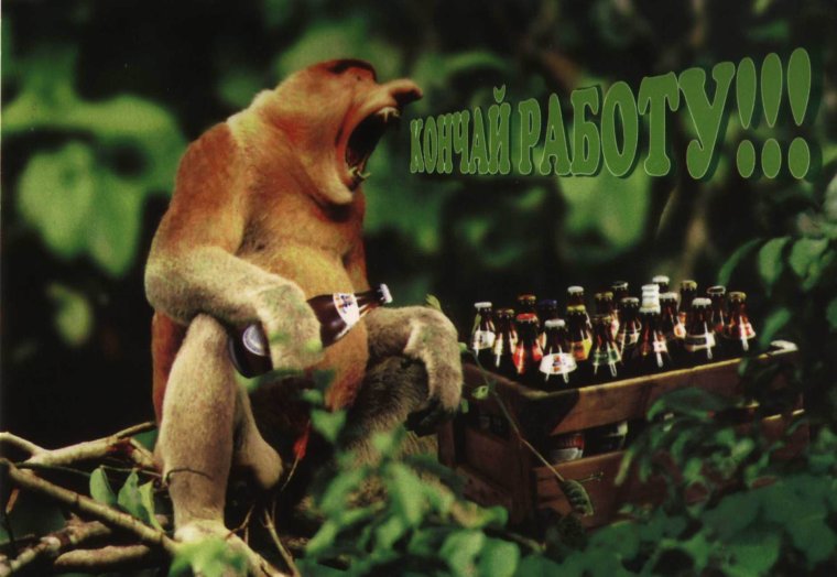 Пятница расслабиться