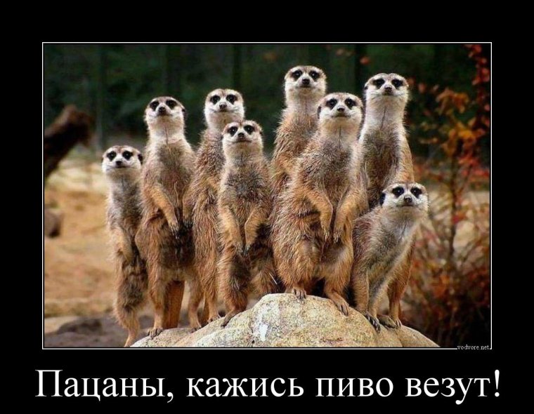 Демотиваторы про семью смешные