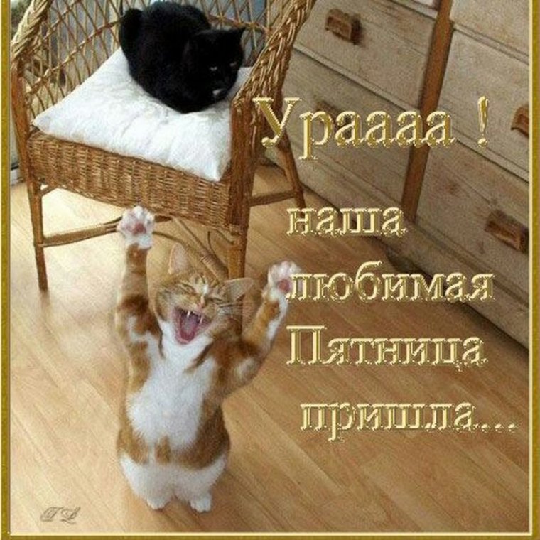 Да здравствует пятница