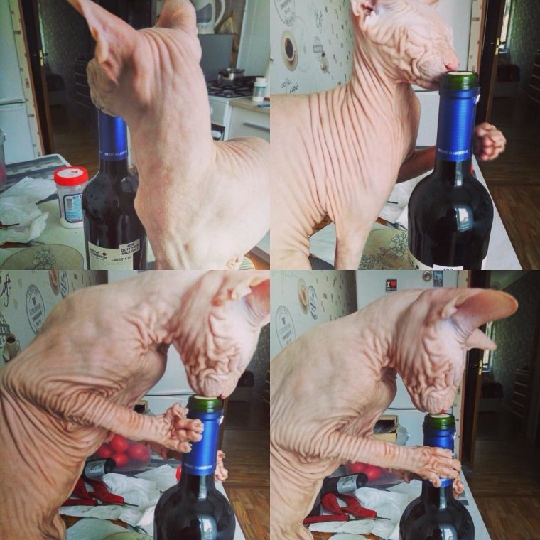 Прикольная пластиковая бутылка