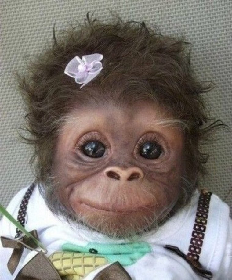 Элеонора Коробко