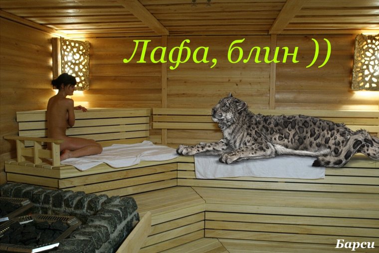 Котик в бане