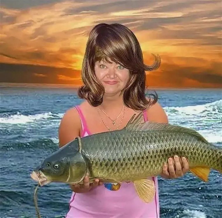 Социальные приколы