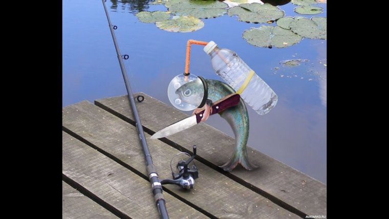 Рыбалка приколы на рыбалке