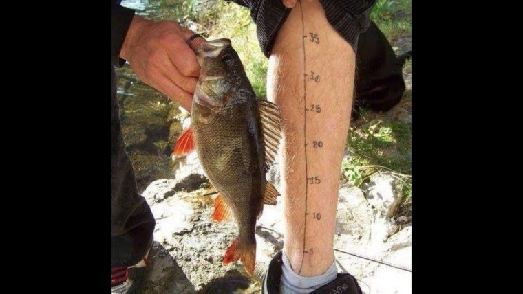 Смешная рыбалка