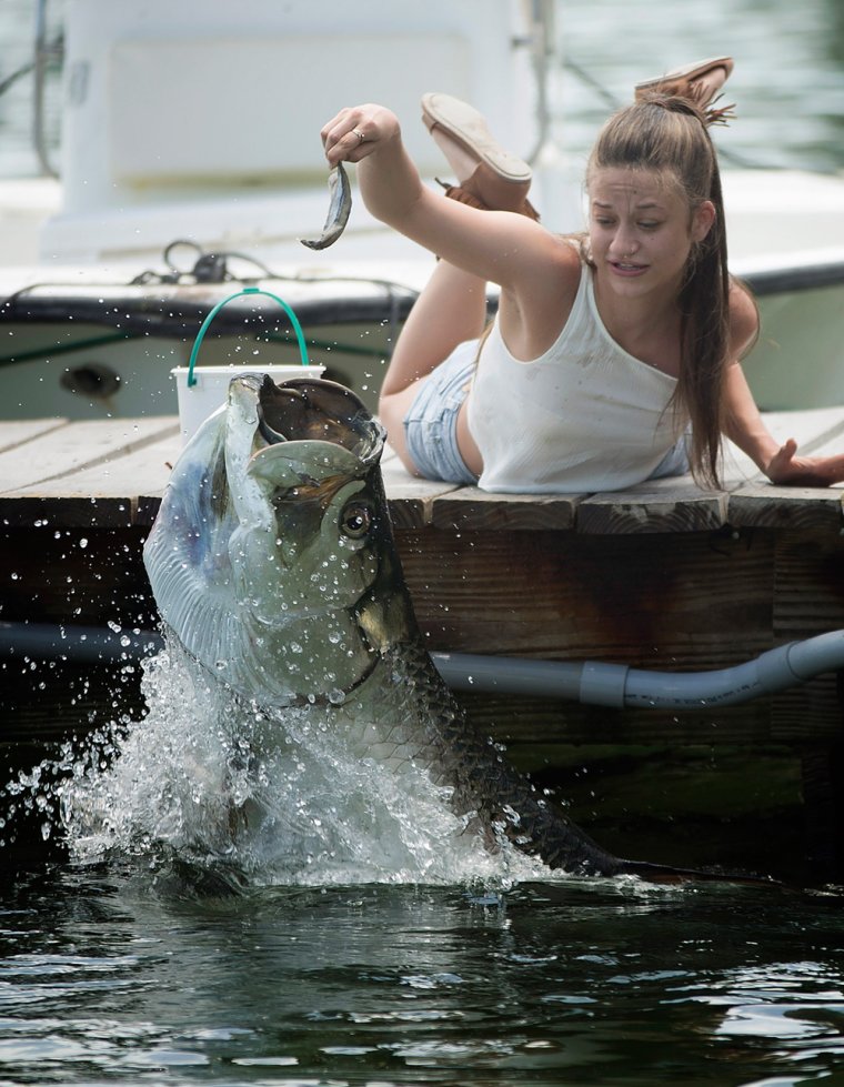 Смешные уловы рыбаков