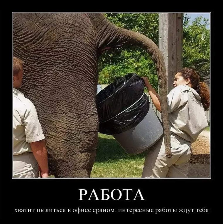 Фотоприколы и демотиваторы