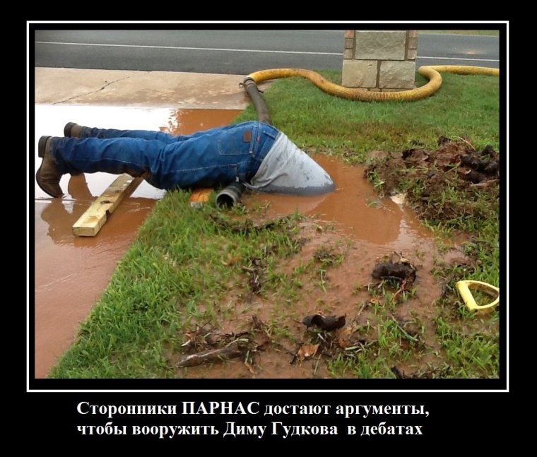 Про работу прикольные