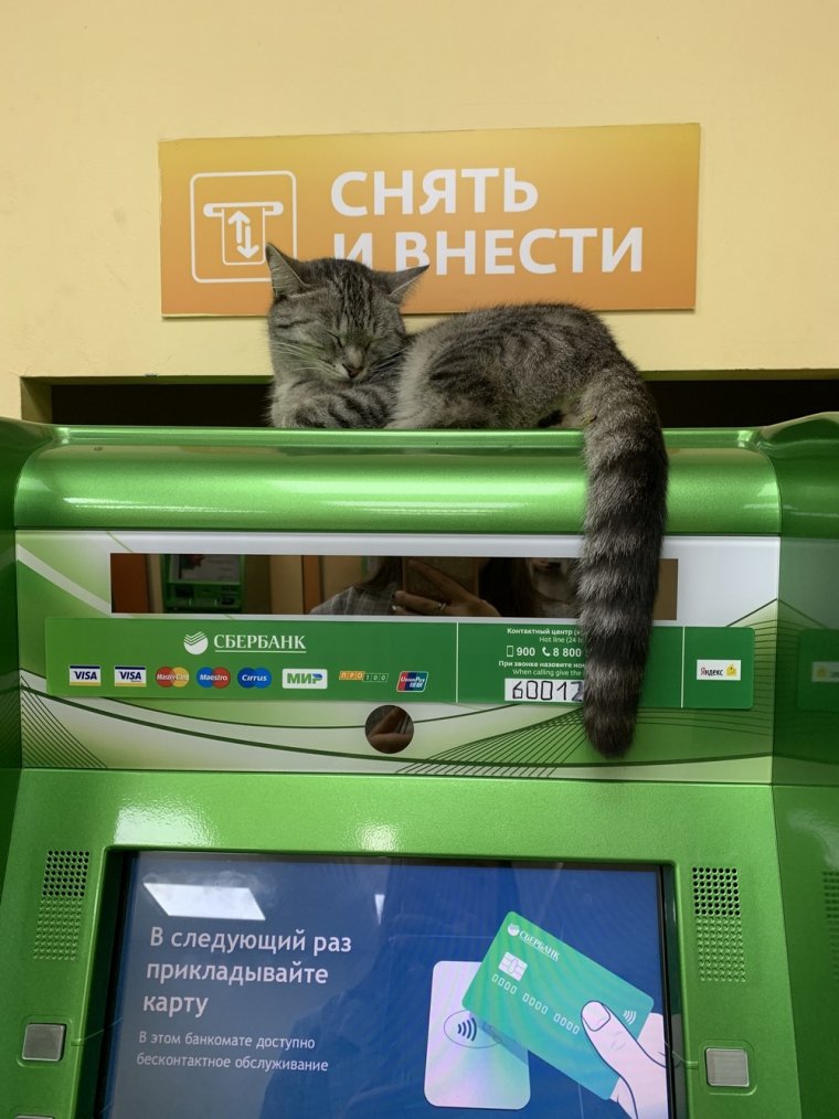 Банкомат прикол