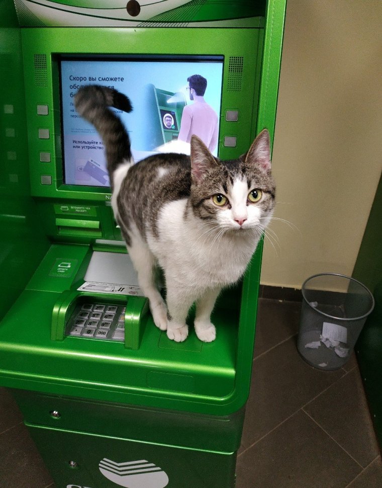 Прикол Банкомат Сбербанк