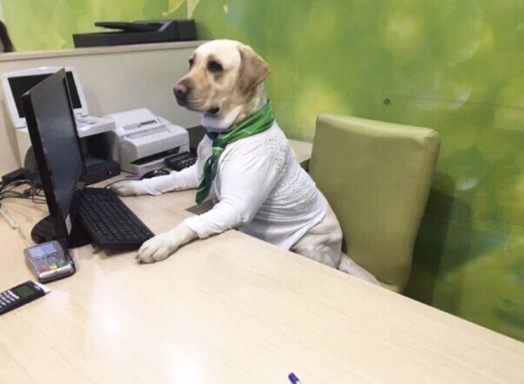 Греф Биг Дата машин Лернинг