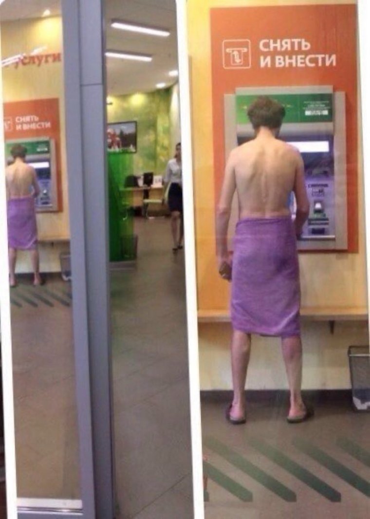 Коты у банкомата