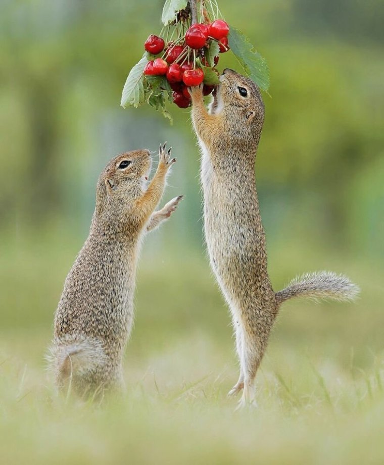 Джулиан рад фотограф из Австрии