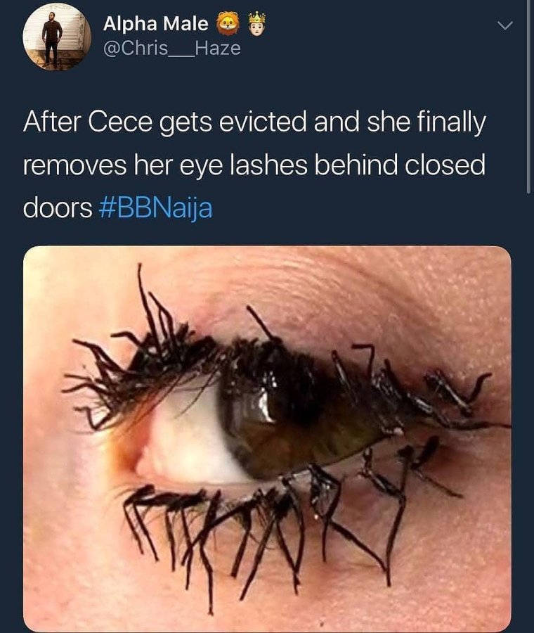 Нарощенные ресницы приколы