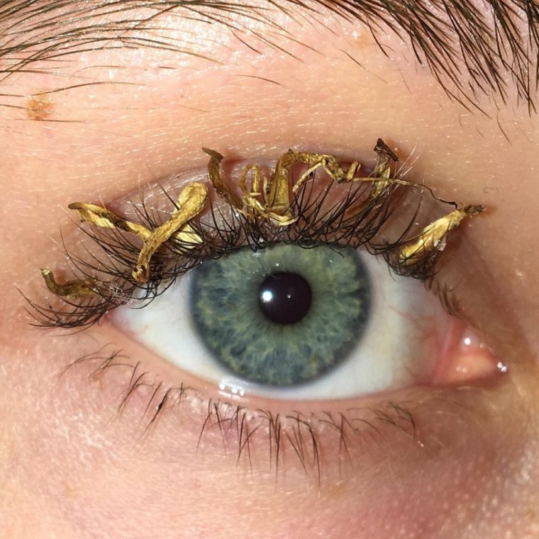 Софи Петерсон ресницы