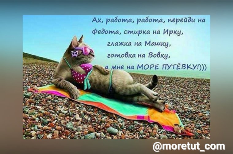 Работа работа перейди на Федота