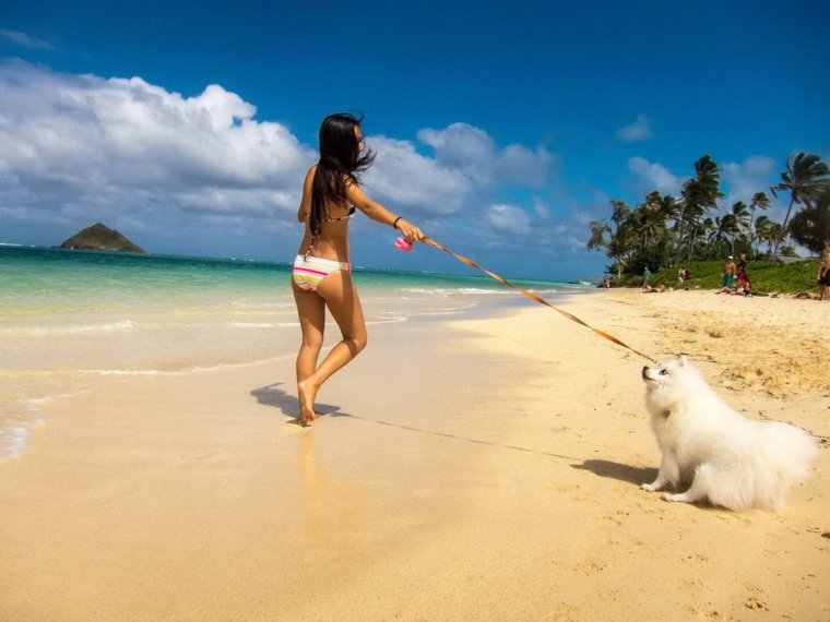 Фото девушки в отпуске прикольные