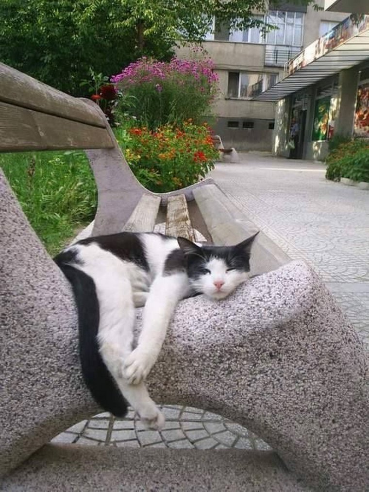 Отпуск это маленькая жизнь