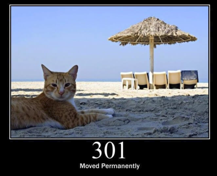 Кот отдыхает на пляже