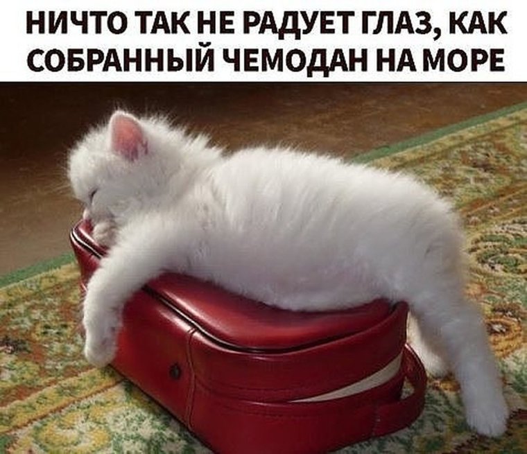 Ничто так не радует как собранный чемодан