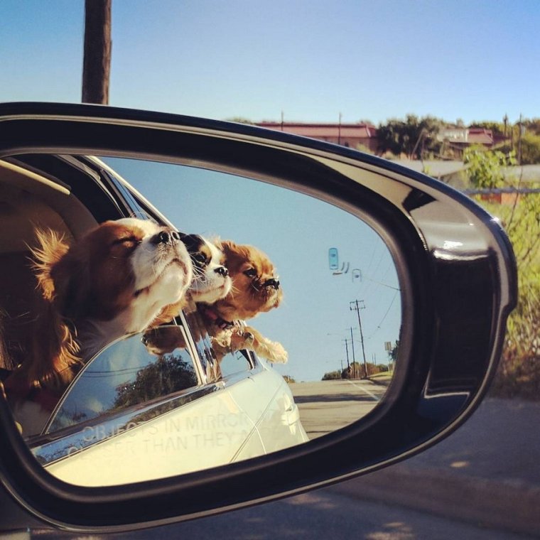 Отпуск близко