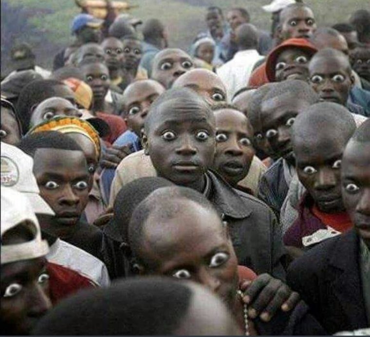 Niggers много негров