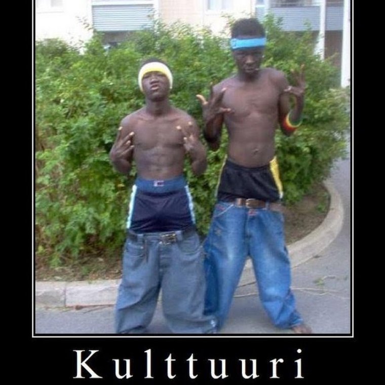 Нигуя зебе демотиватор