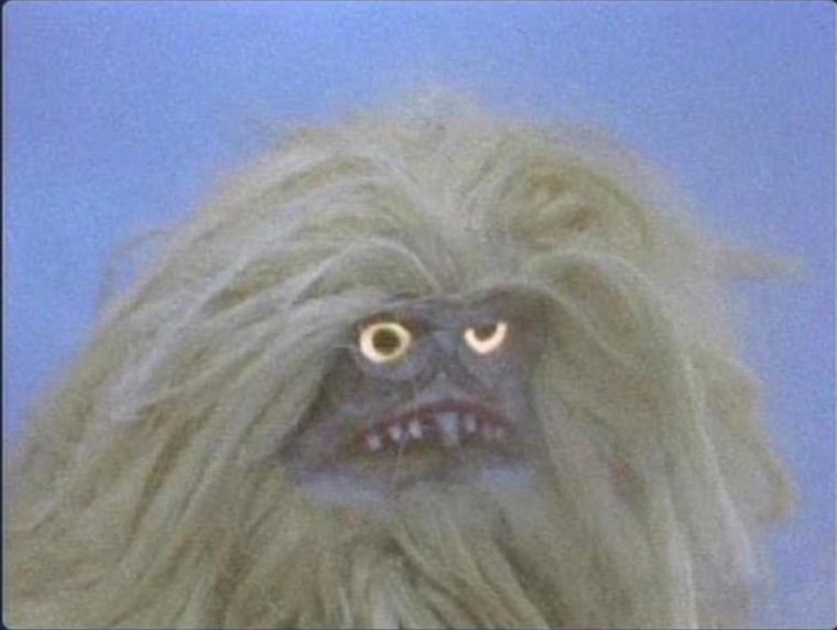 Собака в кастрюле