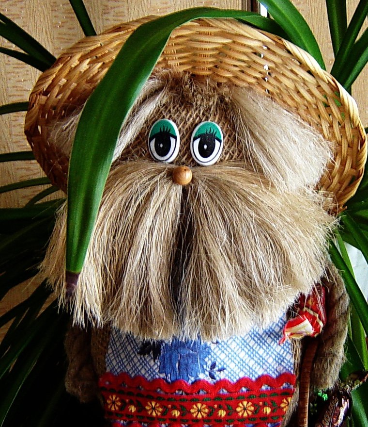 Домовушка Домовиха жена домового