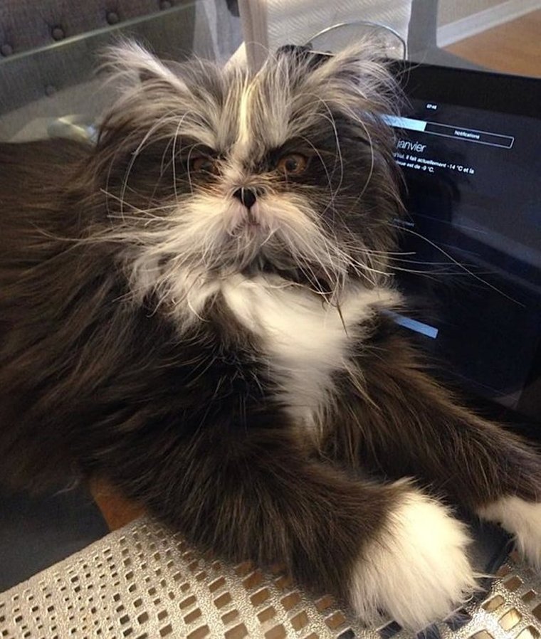 Художник-иллюстратор Аржевитин Владимир Иванович