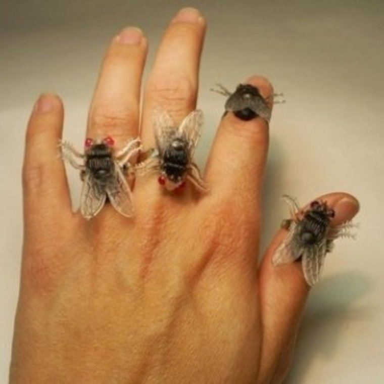 Самые необычные украшения