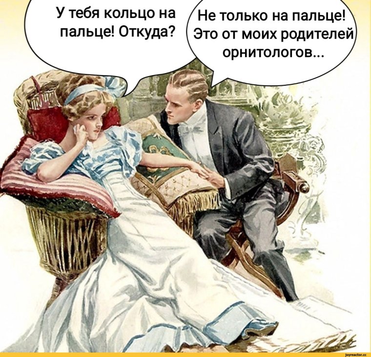 Олимпиада приколы