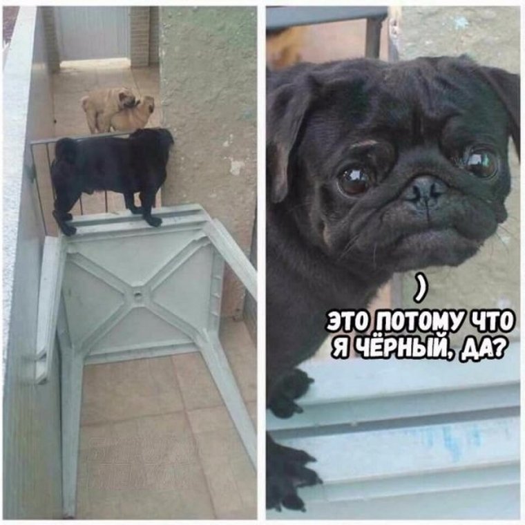 Убойные мемы