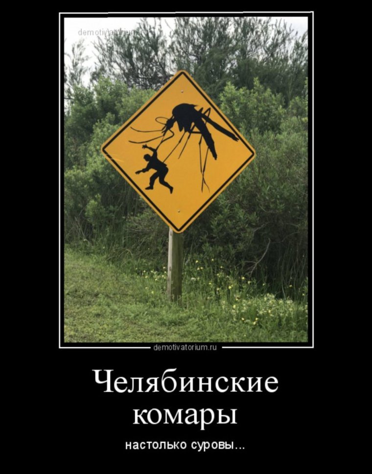 Заготовки для мемов 2017