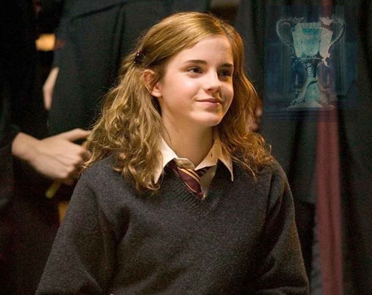 Гермиона Грейнджер в поезде