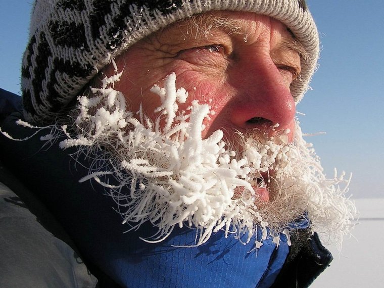 Замерзшая мартышка