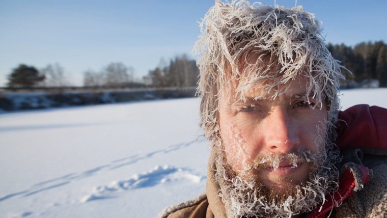 Шерстяной костюм смешной