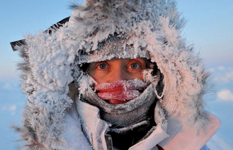 Собака в кожаной куртке