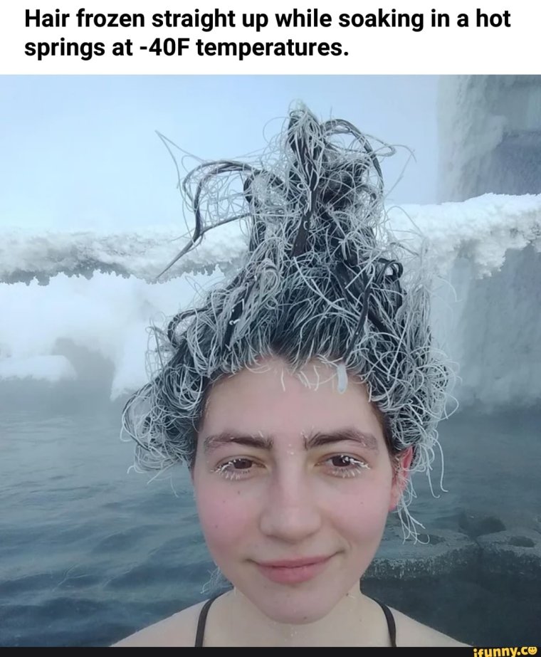 Собака мерзнет