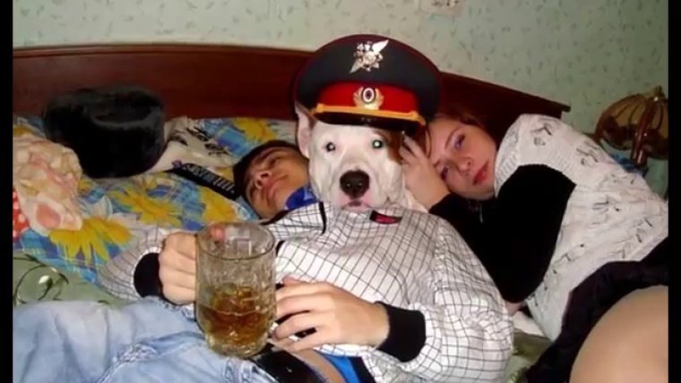 Прикольные девушки домашнее