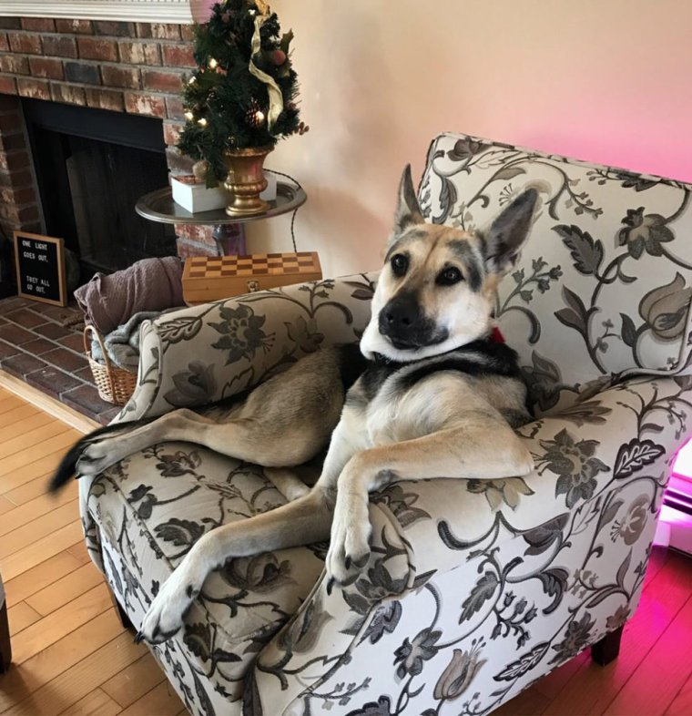 Смешные кадры надпись