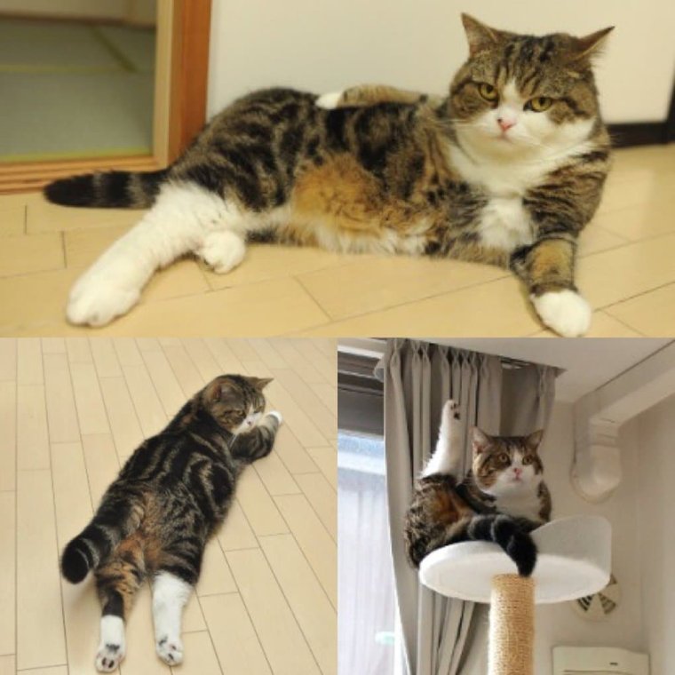 Когда попросили улыбнуться