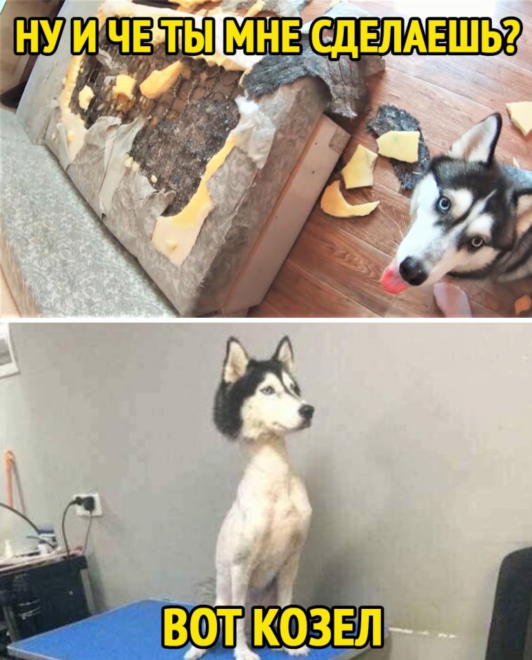 Унитазы напротив