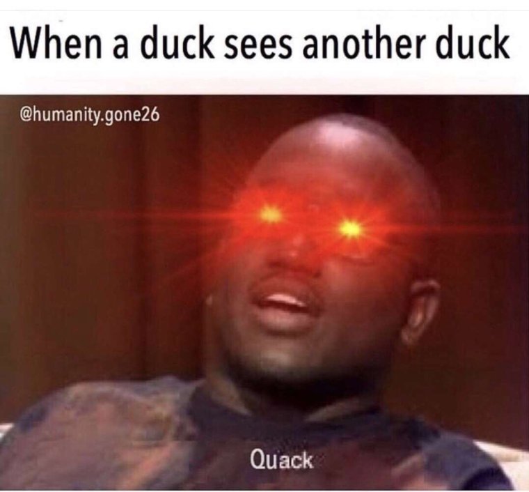 Мем кричащего гуся