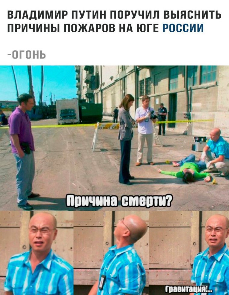 Человек Дельфин Мем