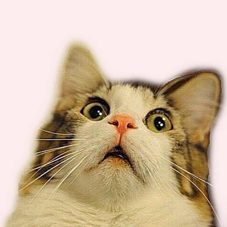 Стикеры прикольные с надписями