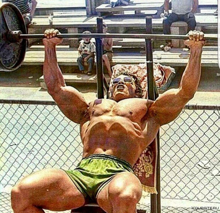 Прикол про качка