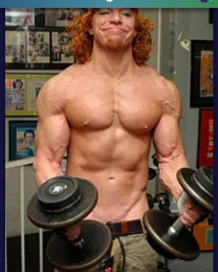 Рыжие качки