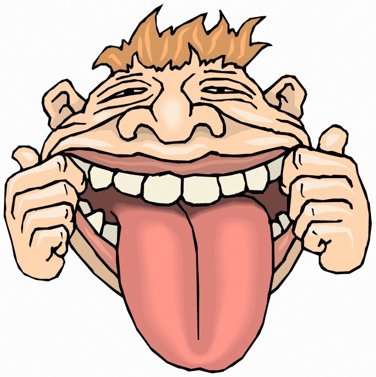 Смешные мордочки